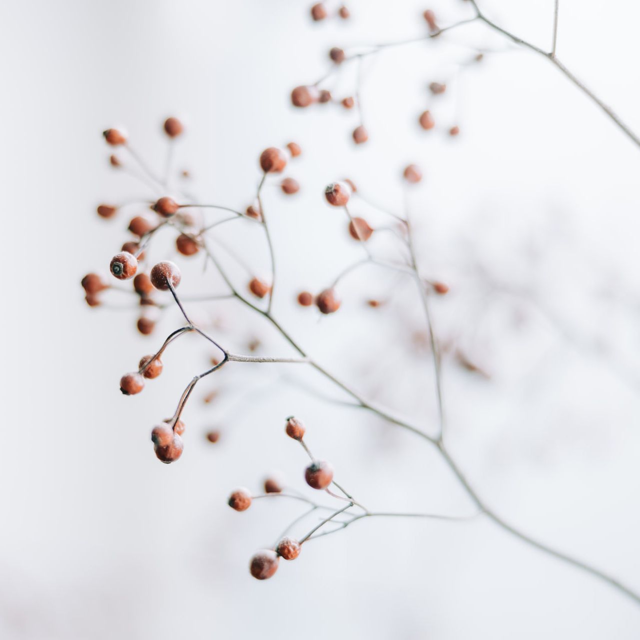 anisan_praxis-11TitelTeam.jpg anisan_praxis-11TitelTeam